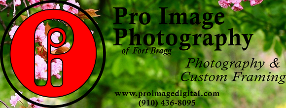 ProImage Logo With Words New