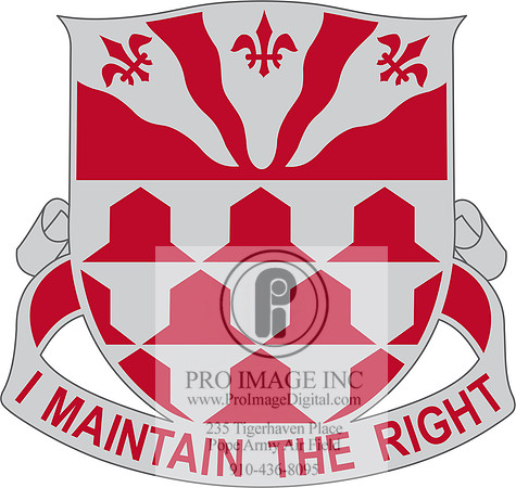 307 ENGINEER BN Crest