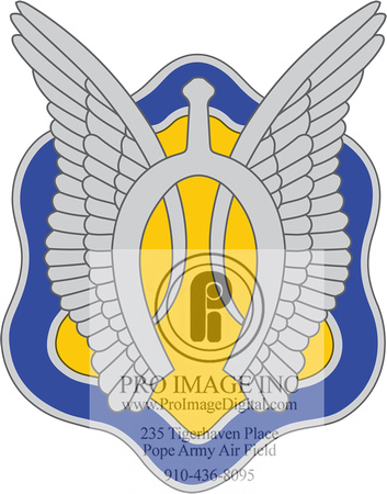 17th CAVALRY-DUI