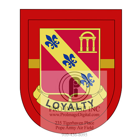 1-319 Flash and Crest