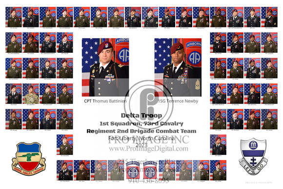 1-73 D Troop Company Composite