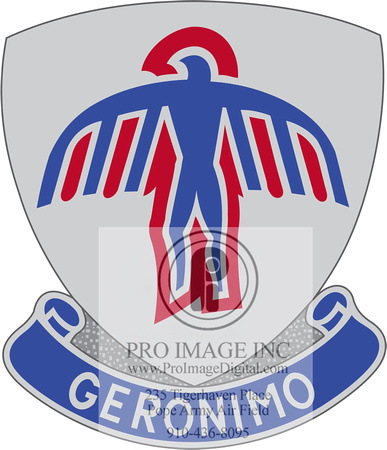 2-501 INFANTRY BN-DUI copy